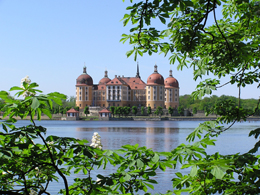 Schloss Moritzburg